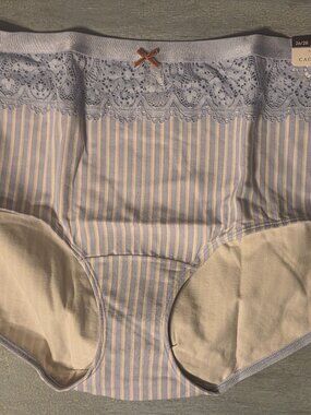 Purple Striped Cacique Panties with Lace, Plus Size 26/28 NWT